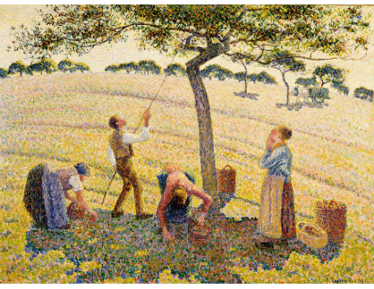 D-8112 Camille Pissarro - Sběr jablek