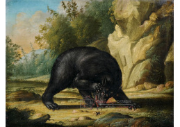 VSO 1148 Georg Ernst Sandner - Medvěd napadený včelami