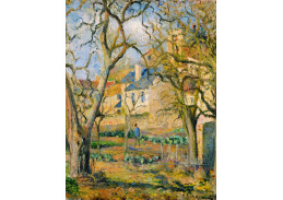 XV-280 Camille Pissarro - Zeleninová zahrada