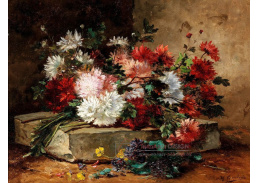 A-1685 Eugene Henri Cauchois - Květinové zátiší s astrami