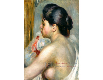 VR14-295 Pierre-Auguste Renoir - Tmavovlasá žena