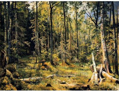VR57 Ivan Ivanovič Šiškin - Smíšený les