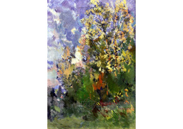 SO VII-6 Konstantin Korovin - Keře