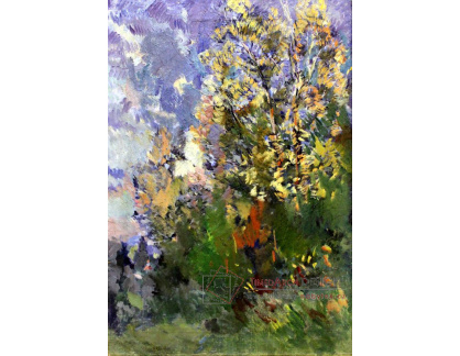 SO VII-6 Konstantin Korovin - Keře