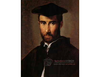 PORT-451 Parmigianino - Portrét muže