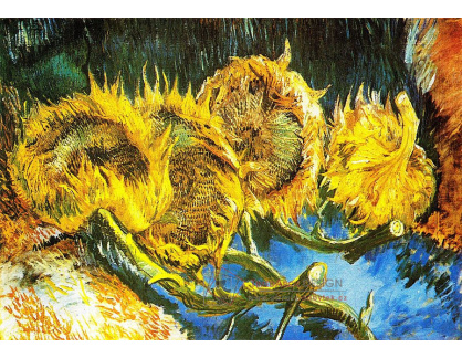 R2-1267 Vincent van Gogh - Čtyři zvadlé slunečnice