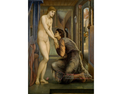 XV-445 Edward Burne Jones - Nabytí duše