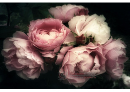 FLOWERS I, skleněný obraz 120x80 cm