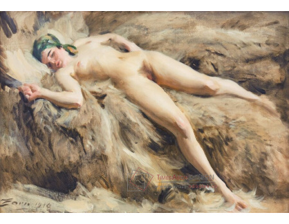 A-8293 Anders Zorn - Ležící akt na kůži