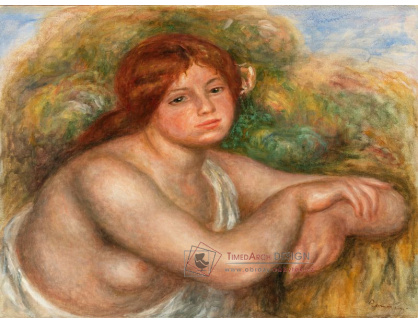 D-6828 Pierre-Auguste Renoir - Akt