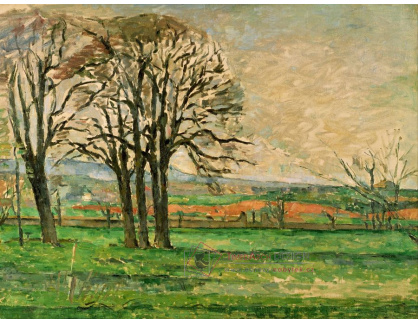 VR10-50 Paul Cézanne - Holé stromy v Jas de Bouffan