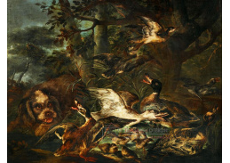 A-1640 Angelo Maria Crivelli - Lovecký pes s kachnami, vranou a dalšími dvěma ptáky