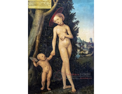 A-4904 Lucas Cranach - Amor a Venuše