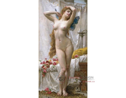 SO X-15 Guillaume Seignac - Probuzená Psyché