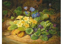 DDSO-4613 Marie Wagner - Zátiší s lesními květinami