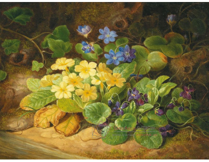 DDSO-4613 Marie Wagner - Zátiší s lesními květinami