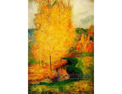 R9-54 Paul Gauguin - Barvy podzimu