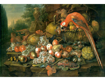 SO XIII-227 George William Sartorius - Zátiší s ovocem a papouškem