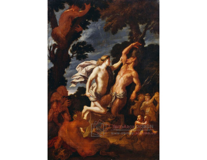 SO XVII-59 Filippo Lauri - Apollo a Marsyas