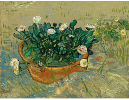 A-3187 Vincent van Gogh - Mísa se sedmikráskami