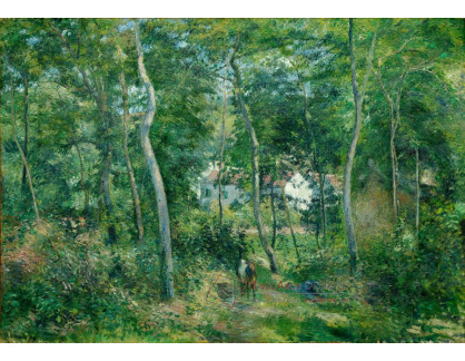 D-7047 Camille Pissarro - Okraj lesa u L Hermitage