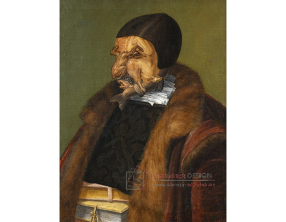 Giuseppe Arcimboldo - Právník