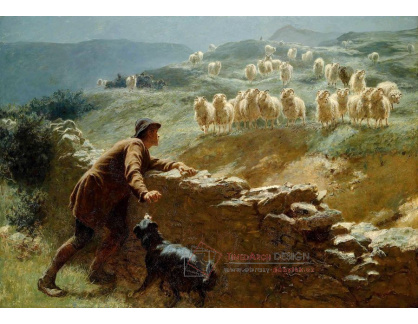 SO XVI-328 Briton Riviere - Zloděj ovcí