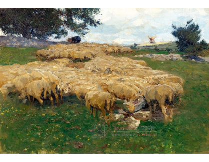 A-686 Heinrich von Zügel - Stádo ovcí