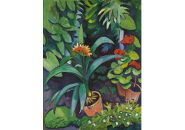 A-6096 August Macke - Květiny v zahradě