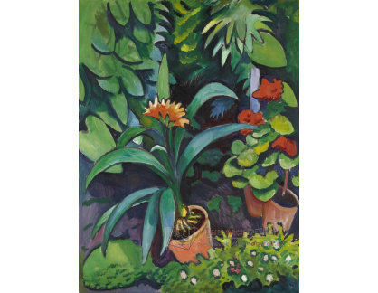 A-6096 August Macke - Květiny v zahradě