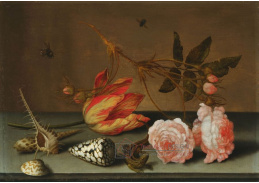 A-8302 Balthasar van der Ast - Zátiší s tulipánem, růžemi, mušlemi a ještěrkou na kamenném podstavci