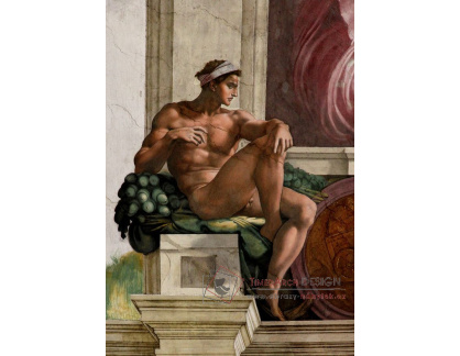 A-69 Michelangelo Buonarroti - Nahé mládí