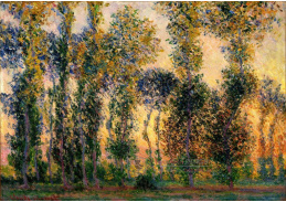 VCM 165 Claude Monet - Topoly v Giverny ve slunci