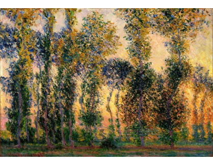 VCM 165 Claude Monet - Topoly v Giverny ve slunci