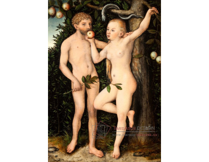 VlCR-174 Lucas Cranach - Adam a Eva