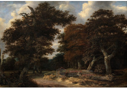 SO V-489 Jacob Isaacksz van Ruisdael - Cesta přes dubový les