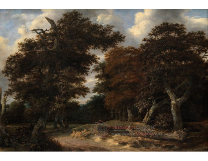 SO V-489 Jacob Isaacksz van Ruisdael - Cesta přes dubový les