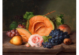 SO XII-232 Johann Georg Seitz - Zátiší s dýní a růži