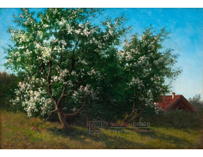 KO IV-312 Lars Tore Theodor Billing - Kvetoucí ovocné stromy