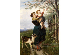 KO V-233 Rudolf Epp - Kvetoucí třešeň