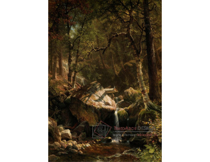 D-7727 Albert Bierstadt - Horský potok