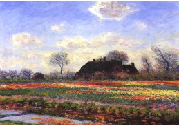 VCM 50 Claude Monet - Tulipány na poli poblíže Leidenu