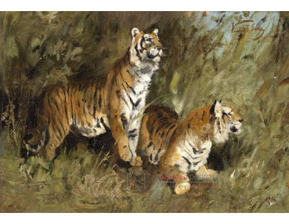 SO XIII-231 Géza Vastagh - Tygři ve vysoké trávě