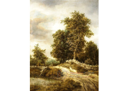 D-6129 Jacob van Ruisdael - Cesta