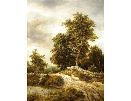 D-6129 Jacob van Ruisdael - Cesta