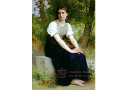 VR15-22 Adolph William Bouguereau - Píseň o Nightingale