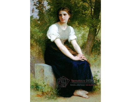 VR15-22 Adolph William Bouguereau - Píseň o Nightingale