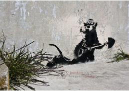 Banksy VR51-5