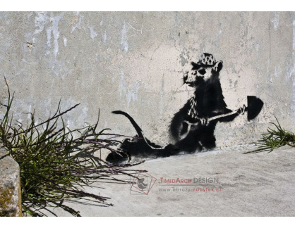 Banksy VR51-5