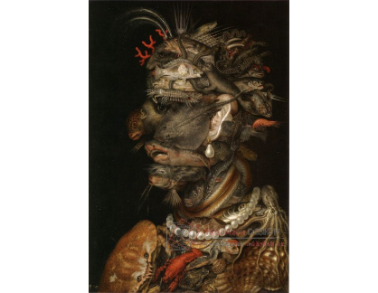 VGA11 Giuseppe Arcimboldo - Voda